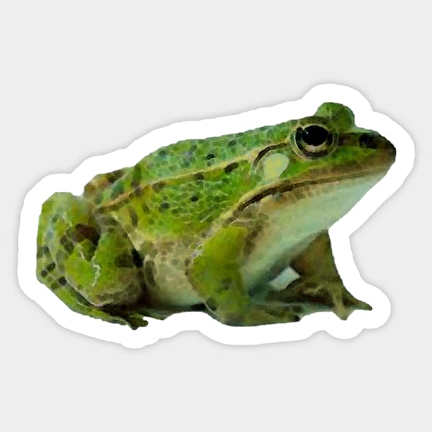 Frog Sticker by HIghlandkings